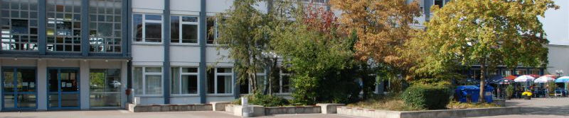 Die Fachoberschule im Herbst